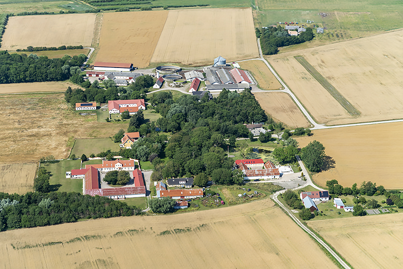 Egholm By