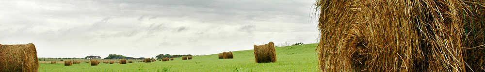 Luftfoto af Landbrug. Copyright Steen Lee Christensen/ Aalborg Luftfoto.